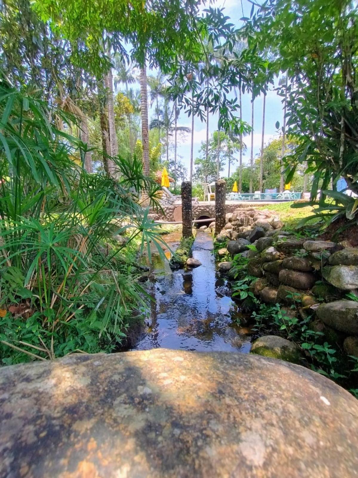 Guest house E Restaurante Dona Siroba *